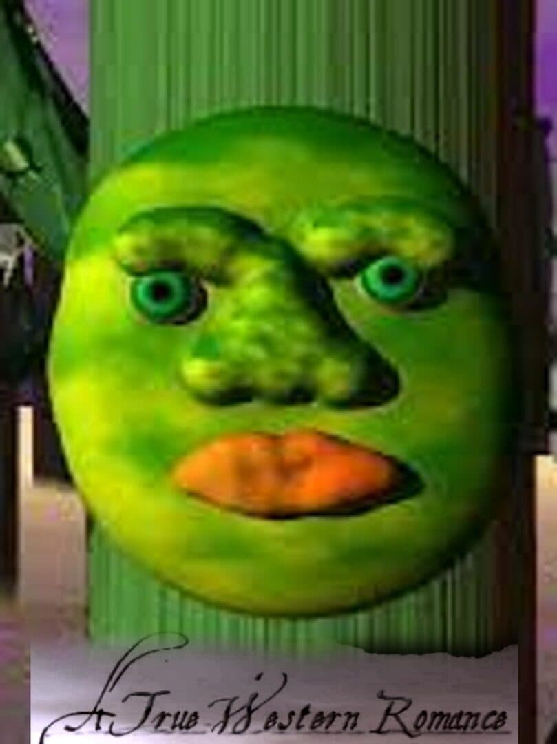 A True Western Romance