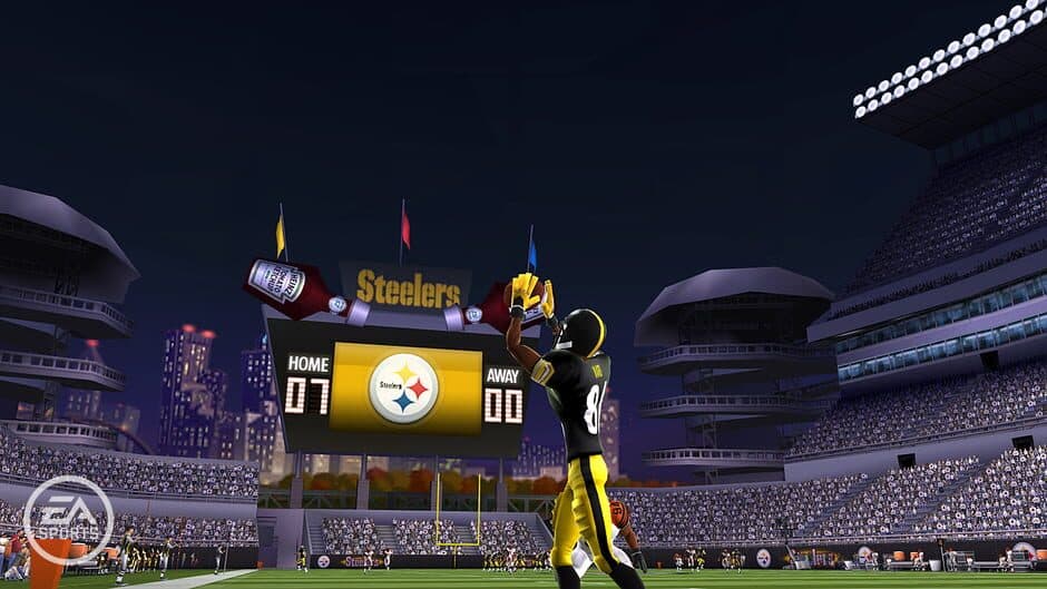 Madden NFL 10 screenshot