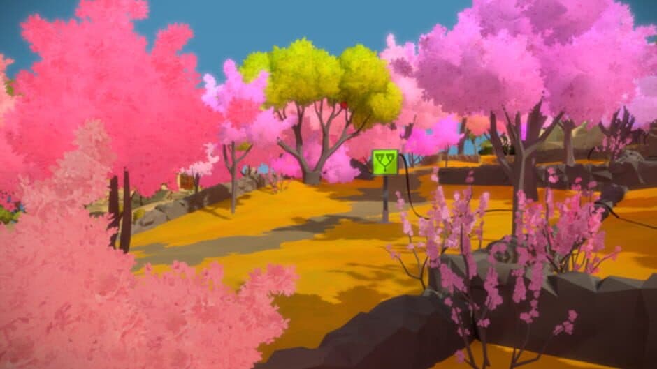 The Witness screenshot