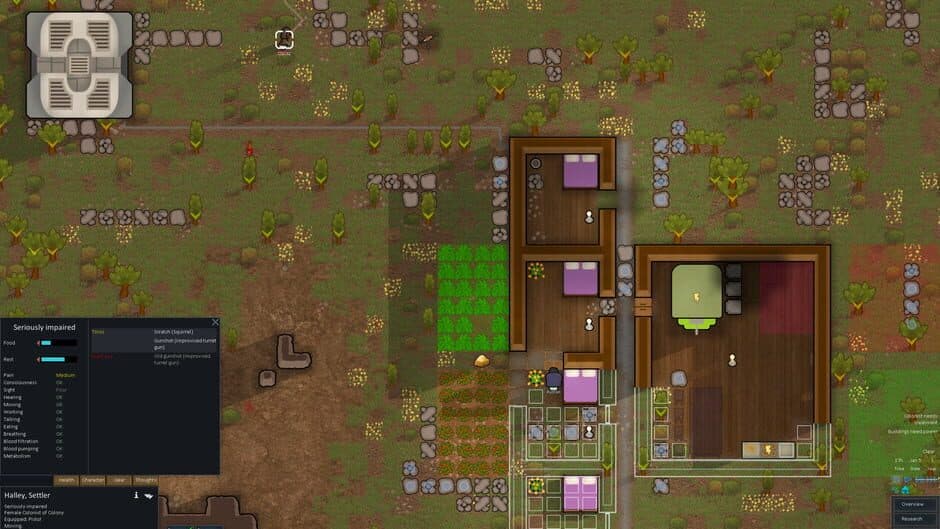 RimWorld screenshot