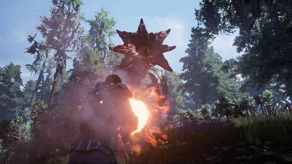 Fragmented screenshot