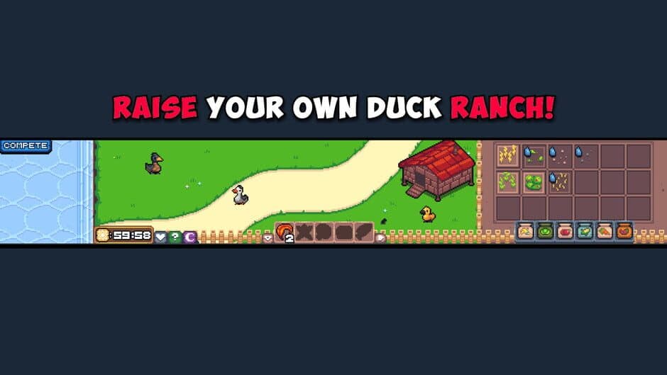 Feeding My Ducks screenshot