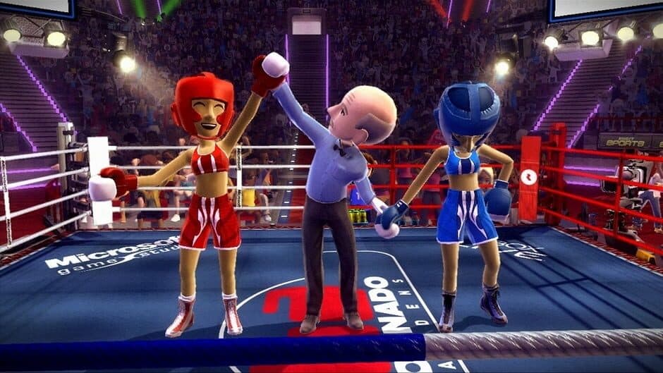 Boxing Fight screenshot