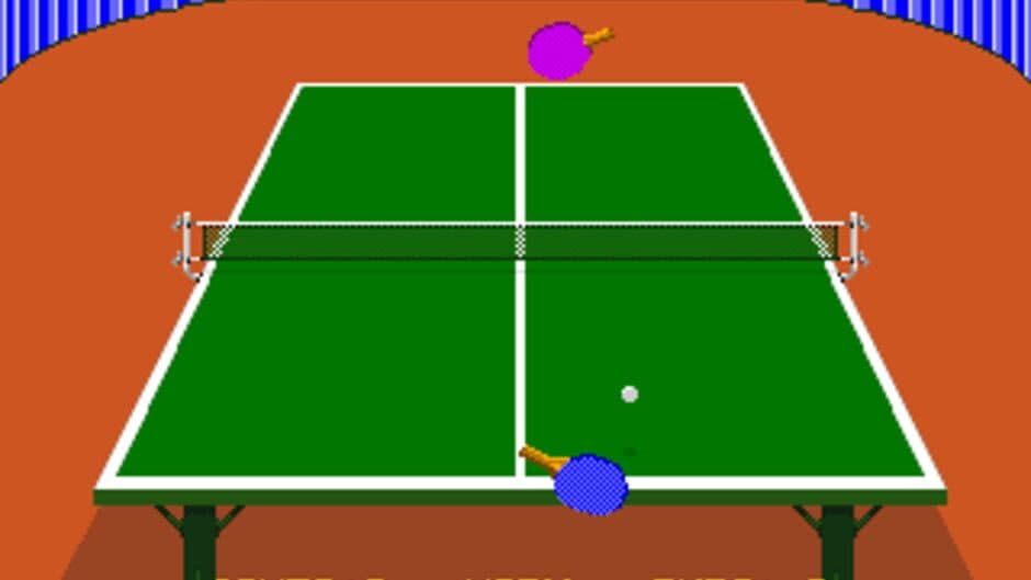 Indoor Sports screenshot
