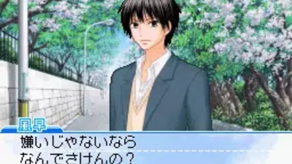 Kimi ni Todoke: Sodateru Omoi screenshot