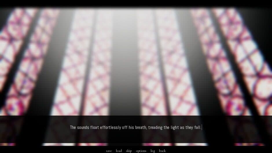 A Portrait of Feathers screenshot