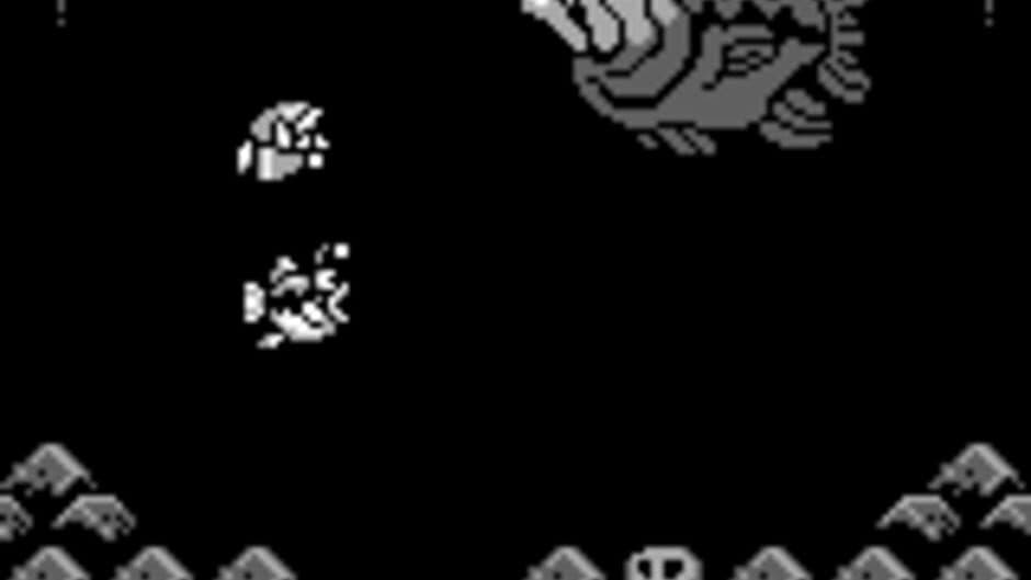 The Legend of Zelda: Link's Awakening screenshot