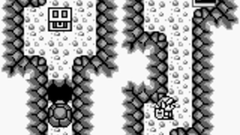 The Legend of Zelda: Link's Awakening screenshot