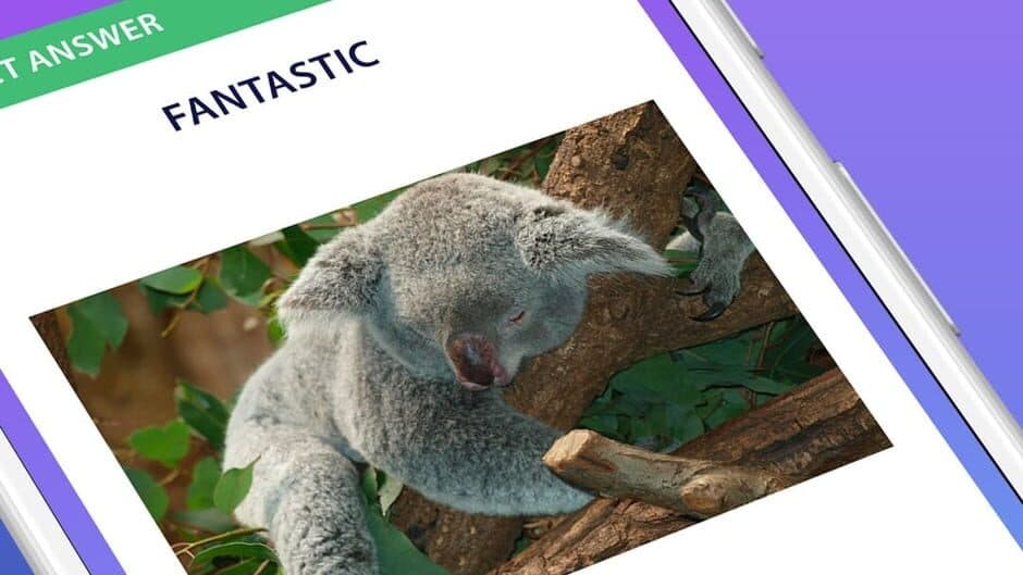 General Knowledge Quiz screenshot