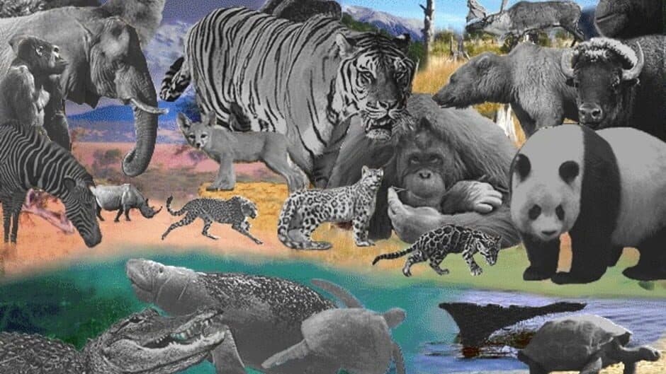 Discovering Endangered Wildlife screenshot