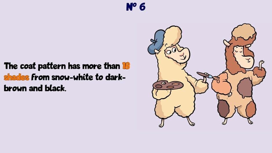 Alpaca Wonders Why screenshot