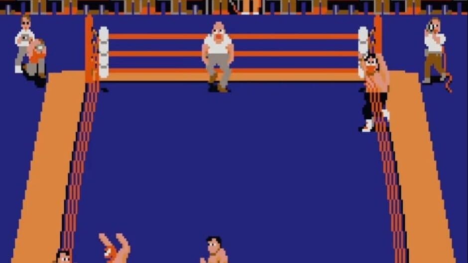 Tag Team Wrestling screenshot