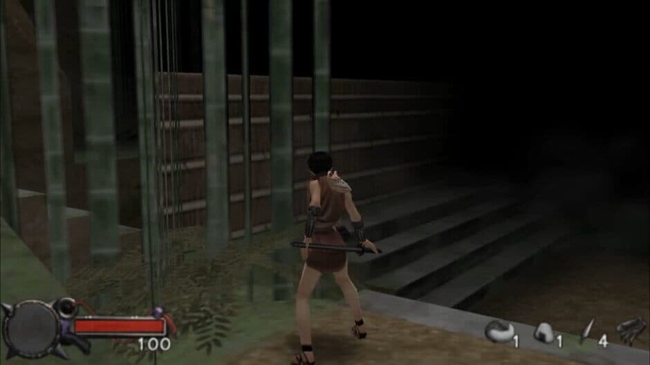 Tenchu: Time Of The Assassins screenshot