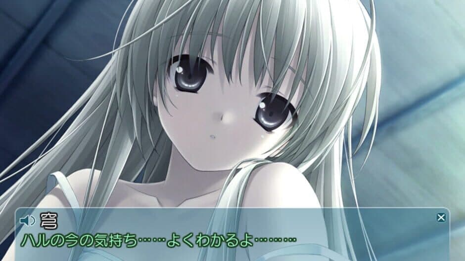 Haruka na Sora screenshot