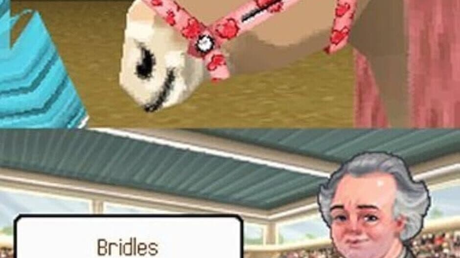 Petz Pony Beauty Pageant screenshot