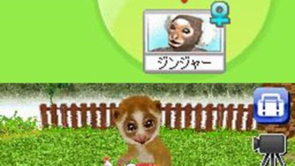 Petz Monkeyz House screenshot