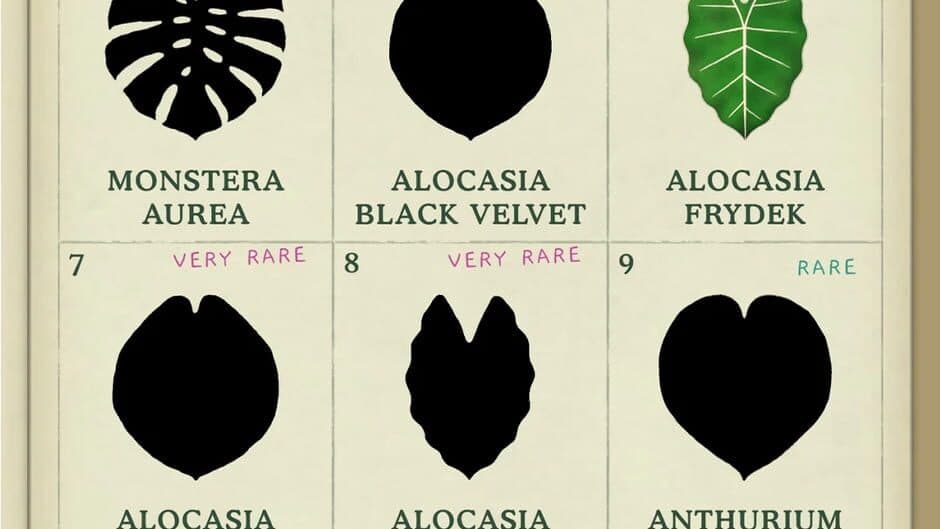 Dustbunny: Emotions to Plants screenshot