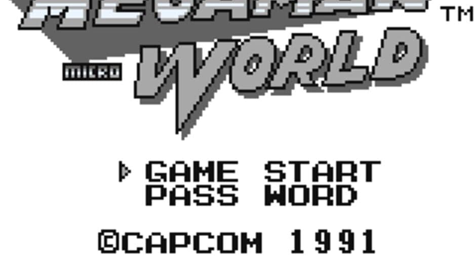 Mega Man: Micro World! screenshot