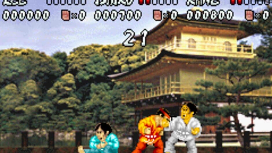 International Karate Advanced screenshot