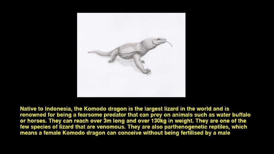 Quiz & Learn: Animals screenshot