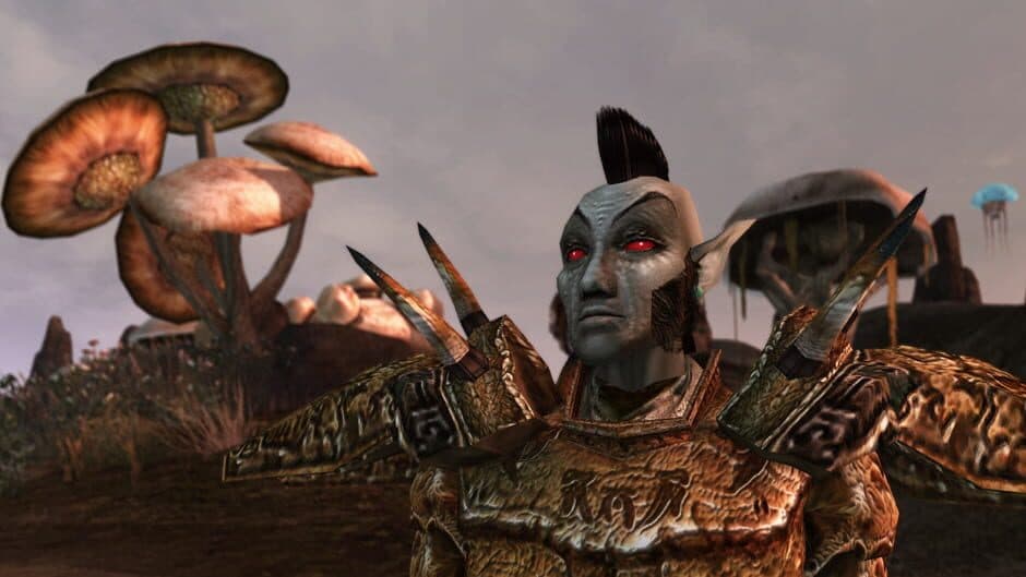 The Elder Scrolls III: Morrowind screenshot