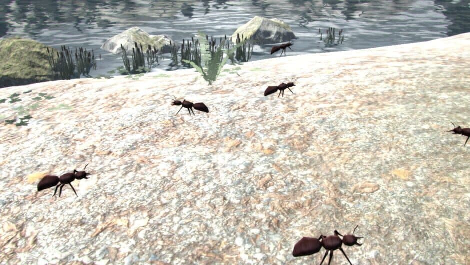 Leisure Town screenshot