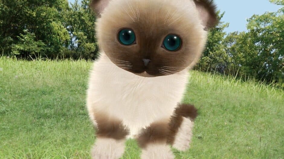 Aabs Animals screenshot