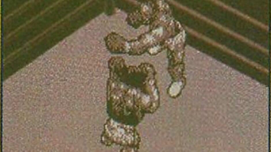 Evander Holyfield Championship Boxing screenshot