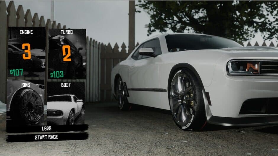 Backyard Boxing screenshot