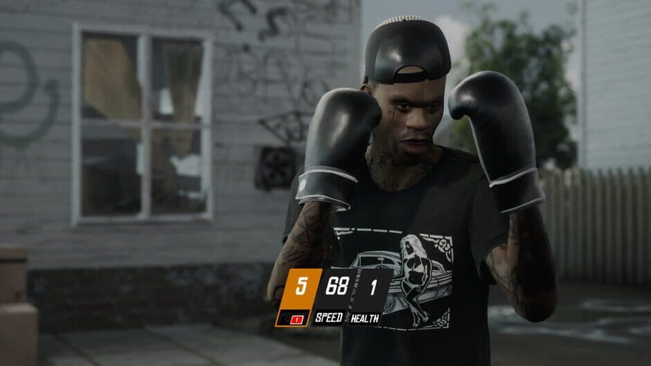 Backyard Boxing screenshot