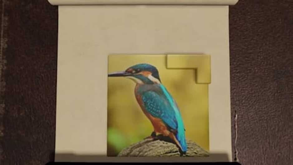 Solid Void: Nature Puzzles screenshot