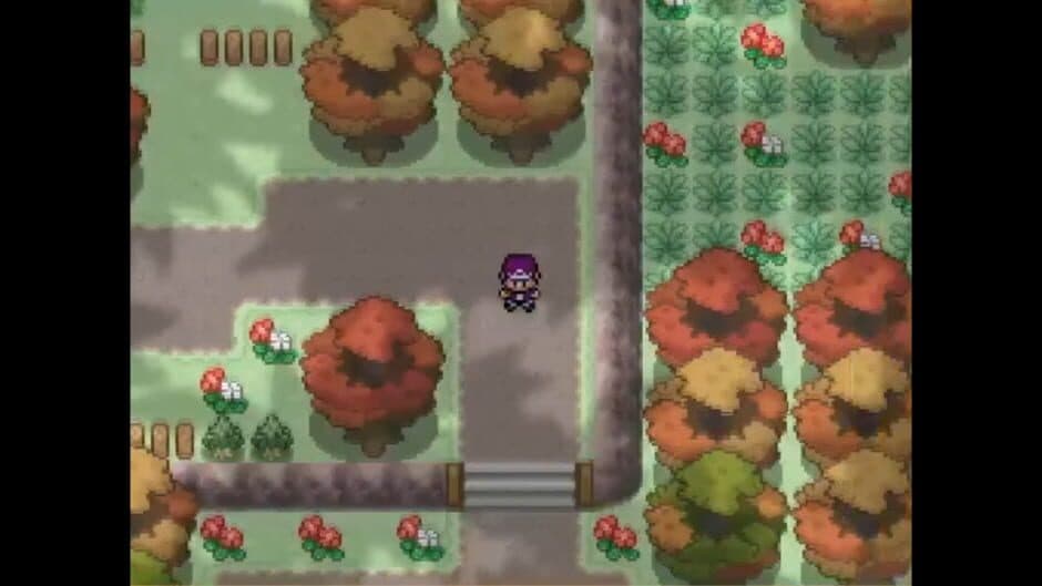Pokemon Alchemist screenshot